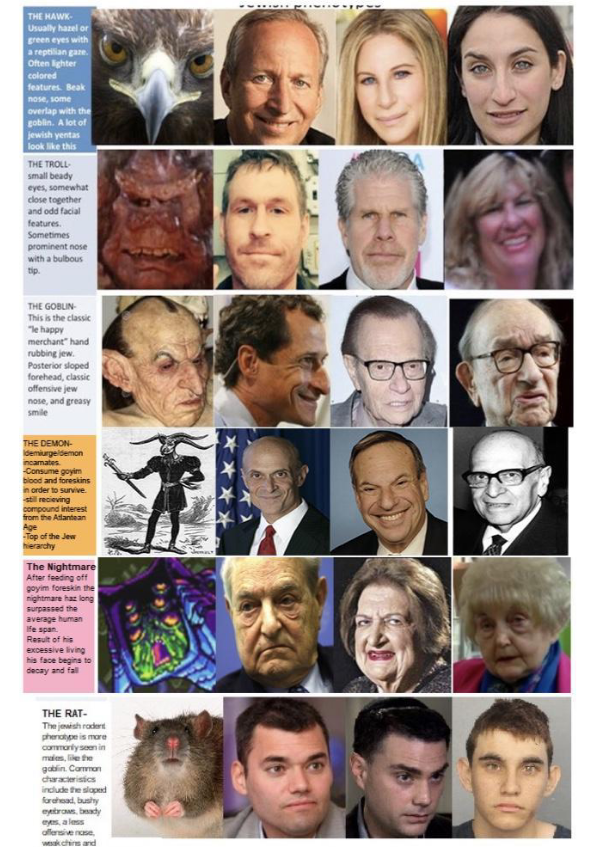 X \ David Pinsen على X: @KirkegaardEmil His Jewish phenotype graphic  includes as examples non-Jews @cernovich (The Troll), Helen Thomas (The  Nightmare), and Nikolas Cruz (The Rat). https://t.co/lvJok5O8B0