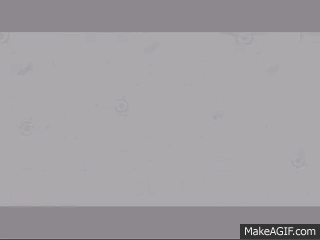 eQQ-YJ.gif
