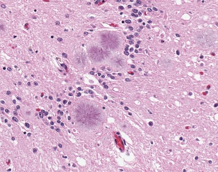 www.livescience.com