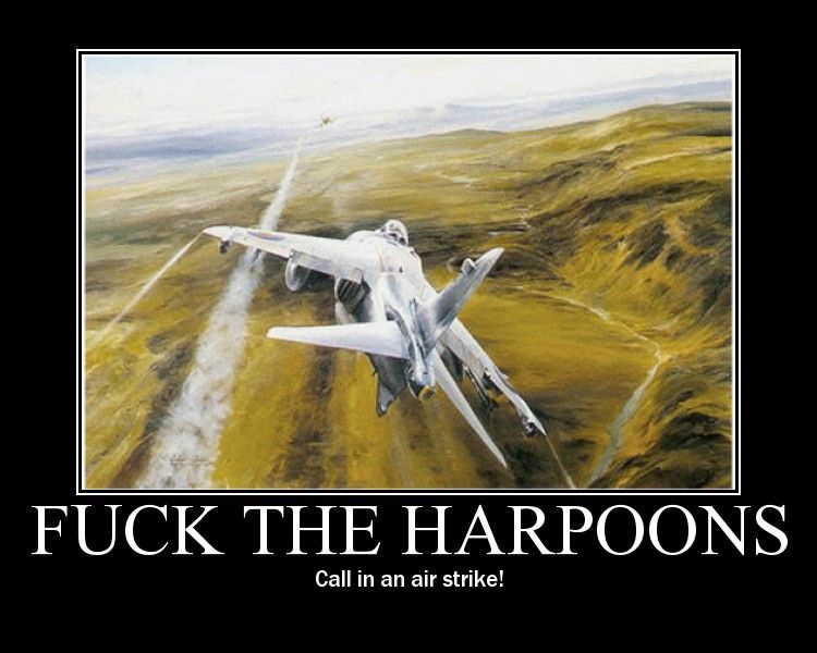 Image result for man the harpoons