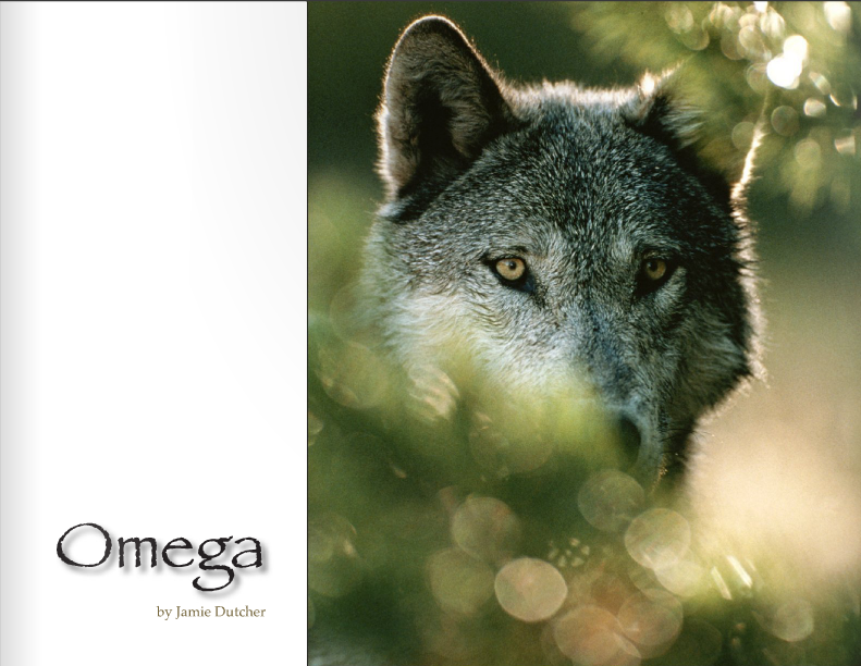 www.livingwithwolves.org