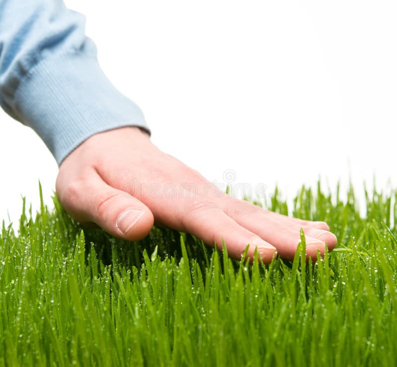 hand-touching-grass-human-s-fresh-39121752.jpg