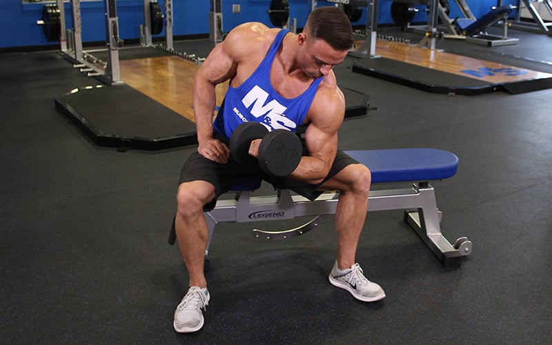 www.muscleandstrength.com