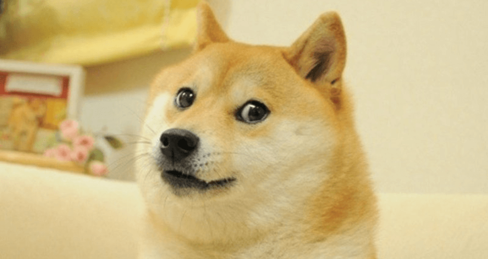 dogecoin.png