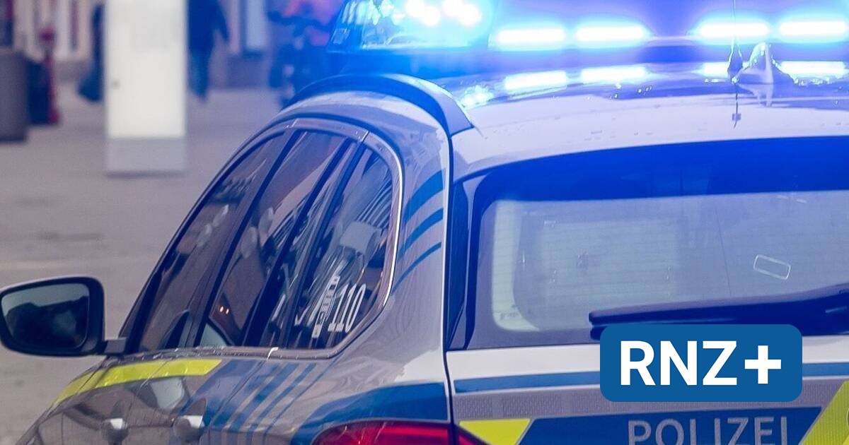 www.rnz.de