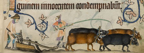 serfs-oxen-plow-manuscript-Luttrell-Psalter.jpg