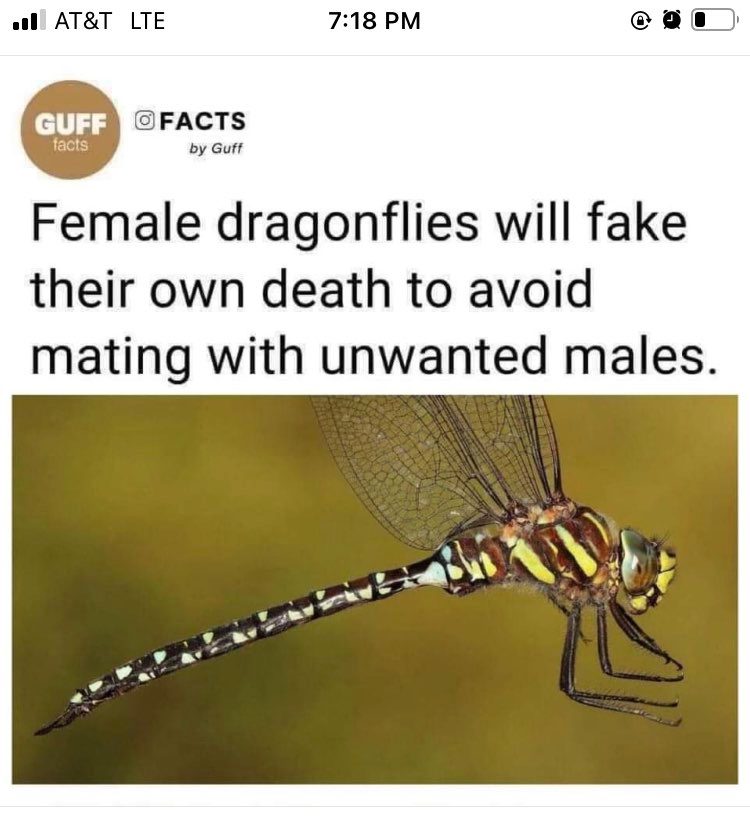 its-over.jpg