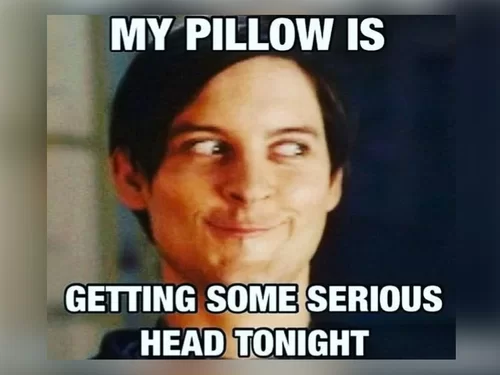 Gpp15 Hilarious Goodnight Memes for a Grin Before Sleep - Chameleon Memes -  Medium