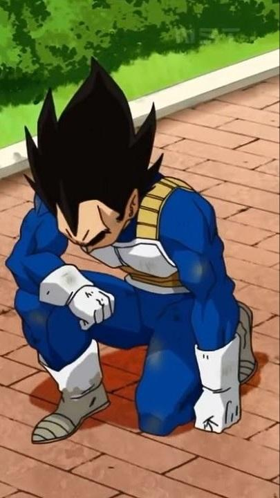 Vegeta I KNEEL Blank Template - Imgflip
