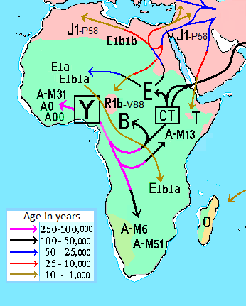 en.wikipedia.org