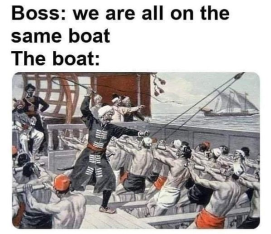 0qw9uo36bfy81.png