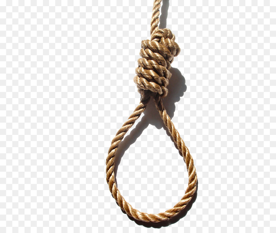 kisspng-suicide-by-hanging-knot-noose-suicide-by-hanging-horse-grass-rope-5a928ce70402d4.2267638715195537670164.jpg