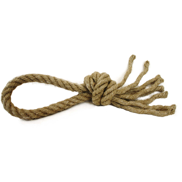 310103-Loop-Knot-Toy_Sq.jpg