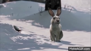 The last of us GIF on GIFER - by Adriemand