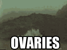 EMXmE.gif