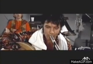 jBHVX7.gif