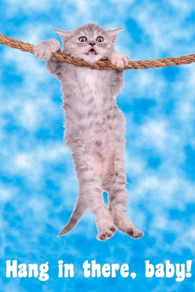 634d0cb9eb11f24444048d51-hang-in-there-baby-retro-hang-in-there.jpg