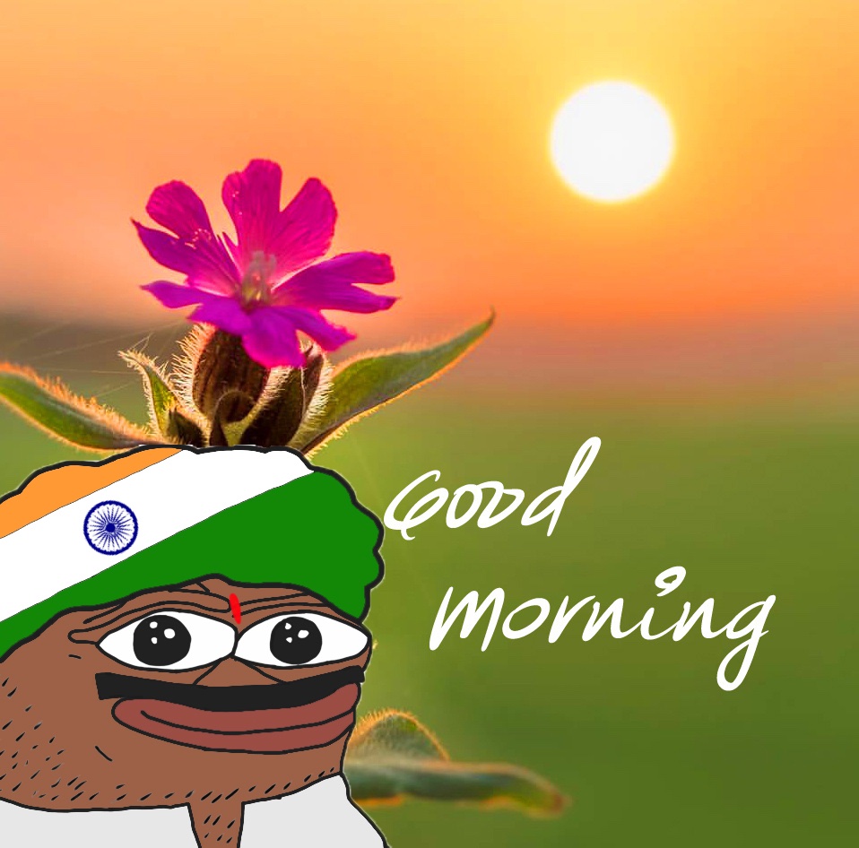 F0PrgHgWAAAL0_L.jpg