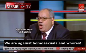 memri2-300x185.jpg