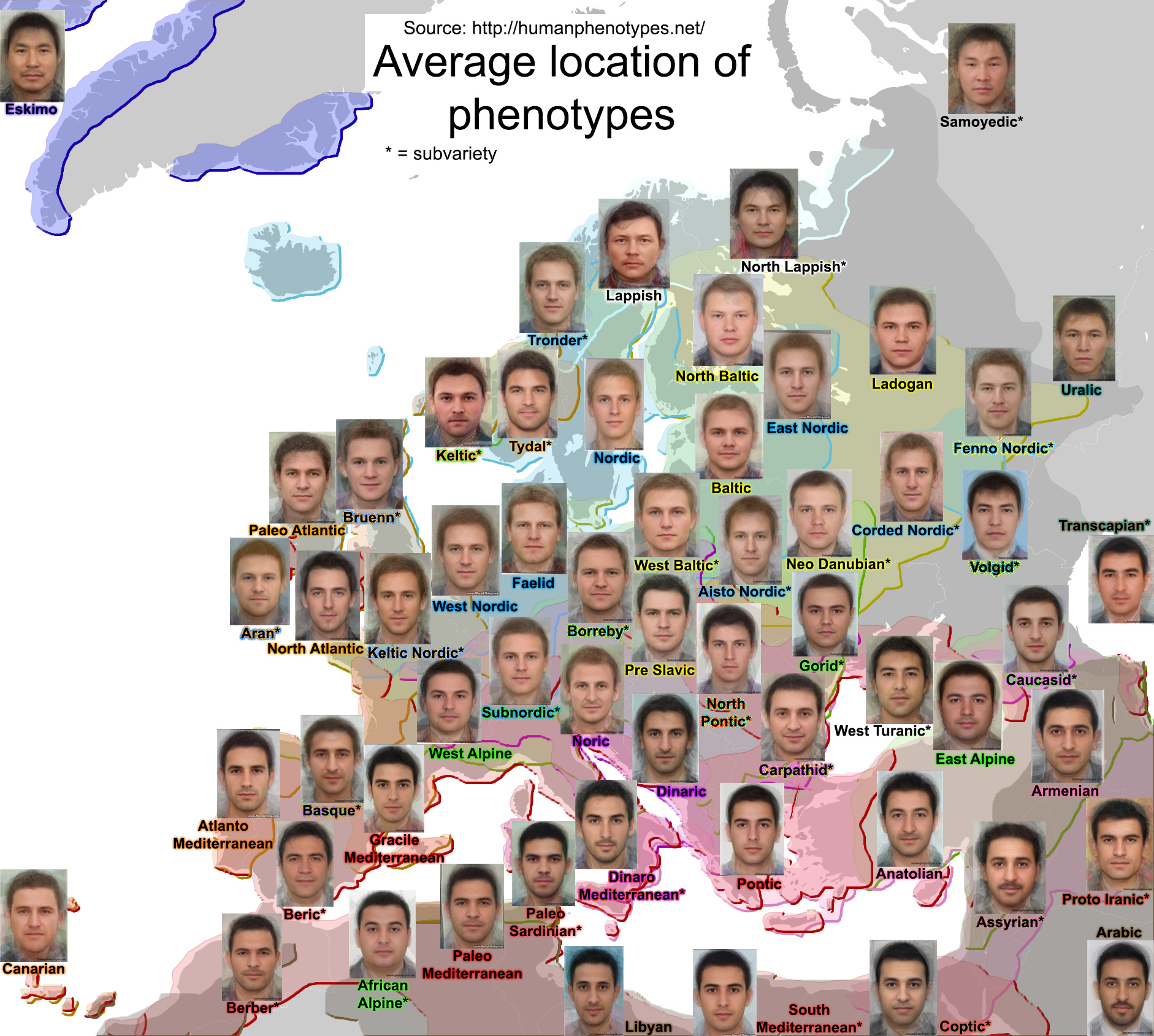 phenotypes-men.jpg