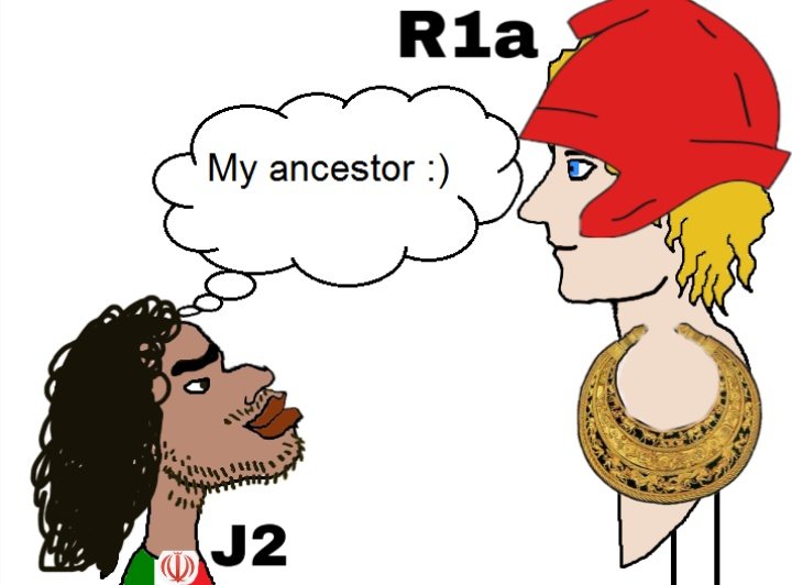 5d3.jpeg