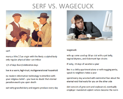 Serf vs. Wagecuck | Yakub's Laboratory