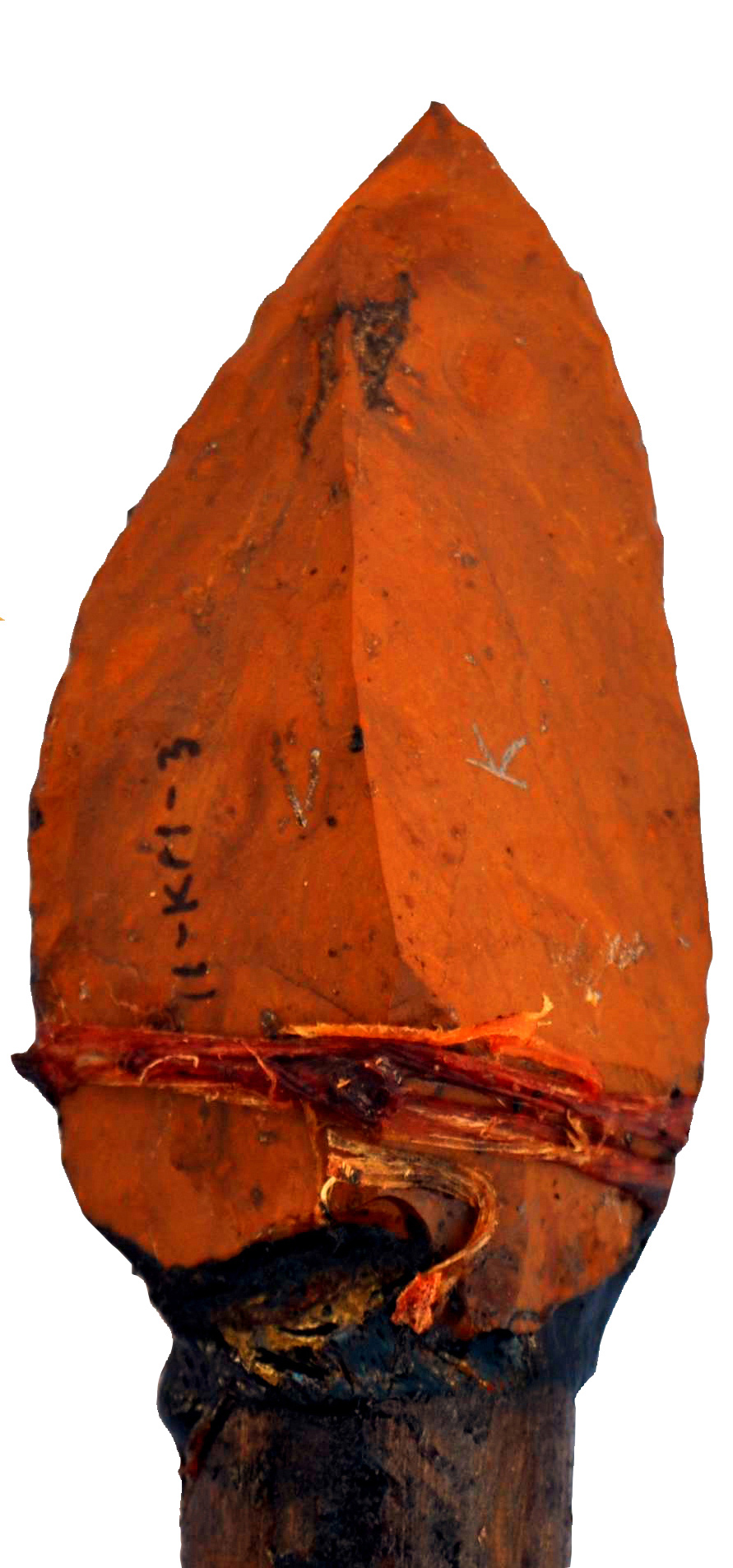 archaeology.org