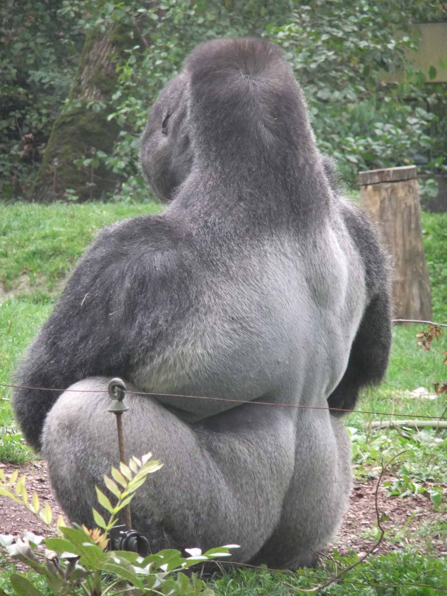 11065859_XXL.jpg
