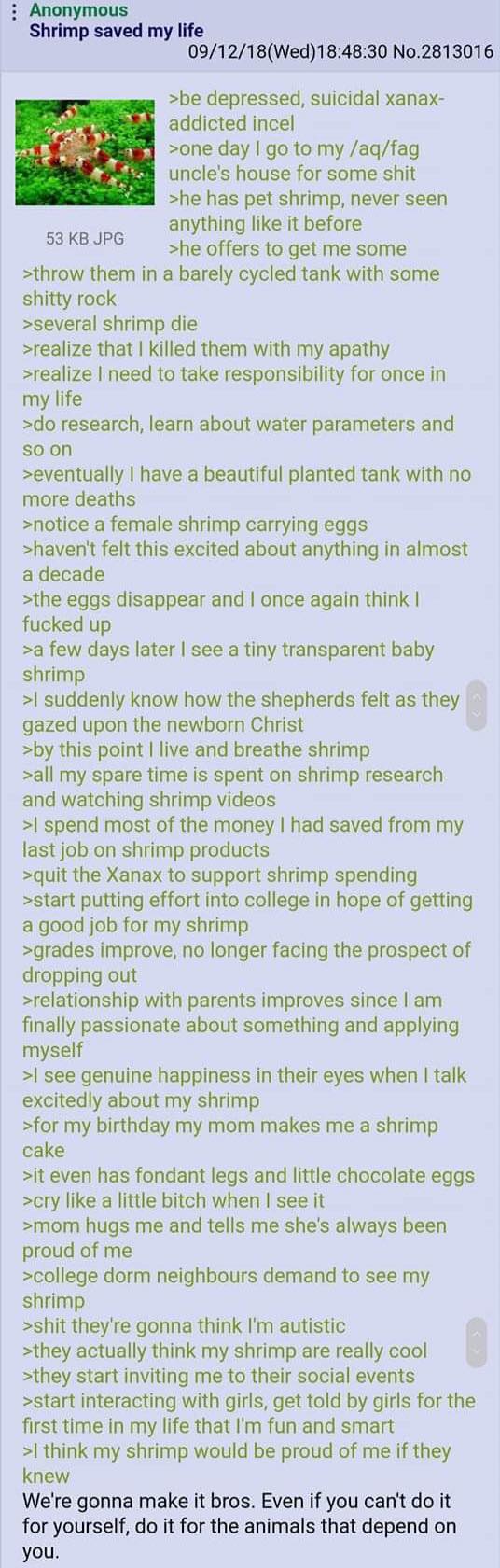xotecsb1iq621.jpg