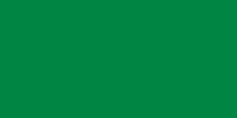 800px-Flag_of_Libya_%281977%E2%80%932011%29.svg.png