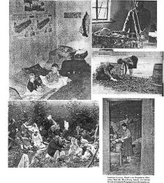 pitiful%20hovels.jpg