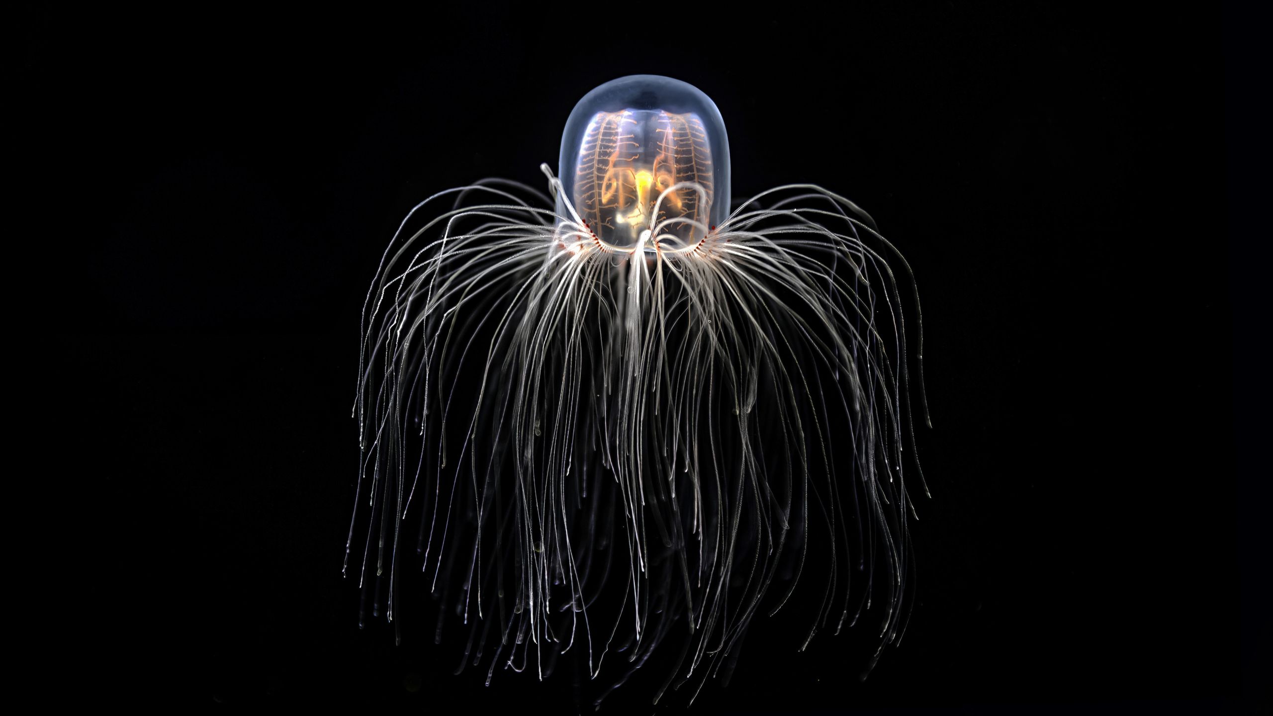 www.livescience.com