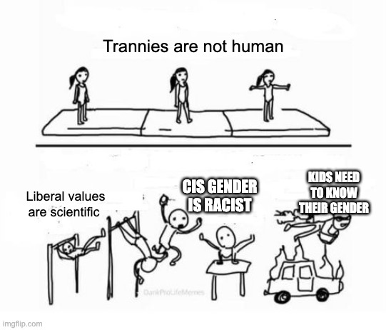 8l36cw.jpg