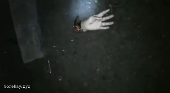 seegore.com