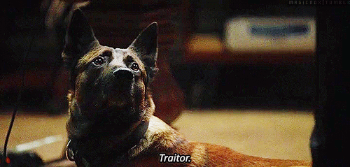 tumblr_mksakdLBh61rv1wh1o1_500.gif