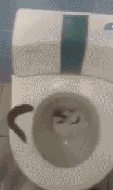 XhRrcIF.gif