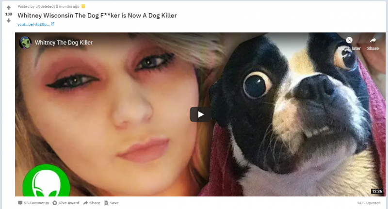 This dog mogs you