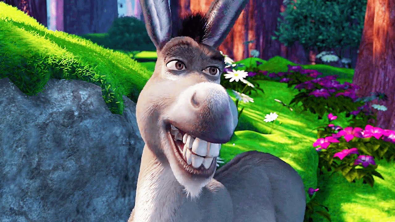 https://i.ytimg.com/vi/6Q6qHRHTTPg/maxresdefault.jpg