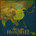 www.ageofcivilizationsgame.com