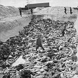 260px-Mass_Grave_at_Bergen-Belsen_concentration_camp_-_Fritz_Klein_-_IWM_BU4260.jpg