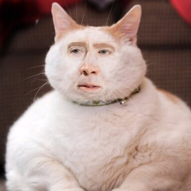 IZ0eyOU.png