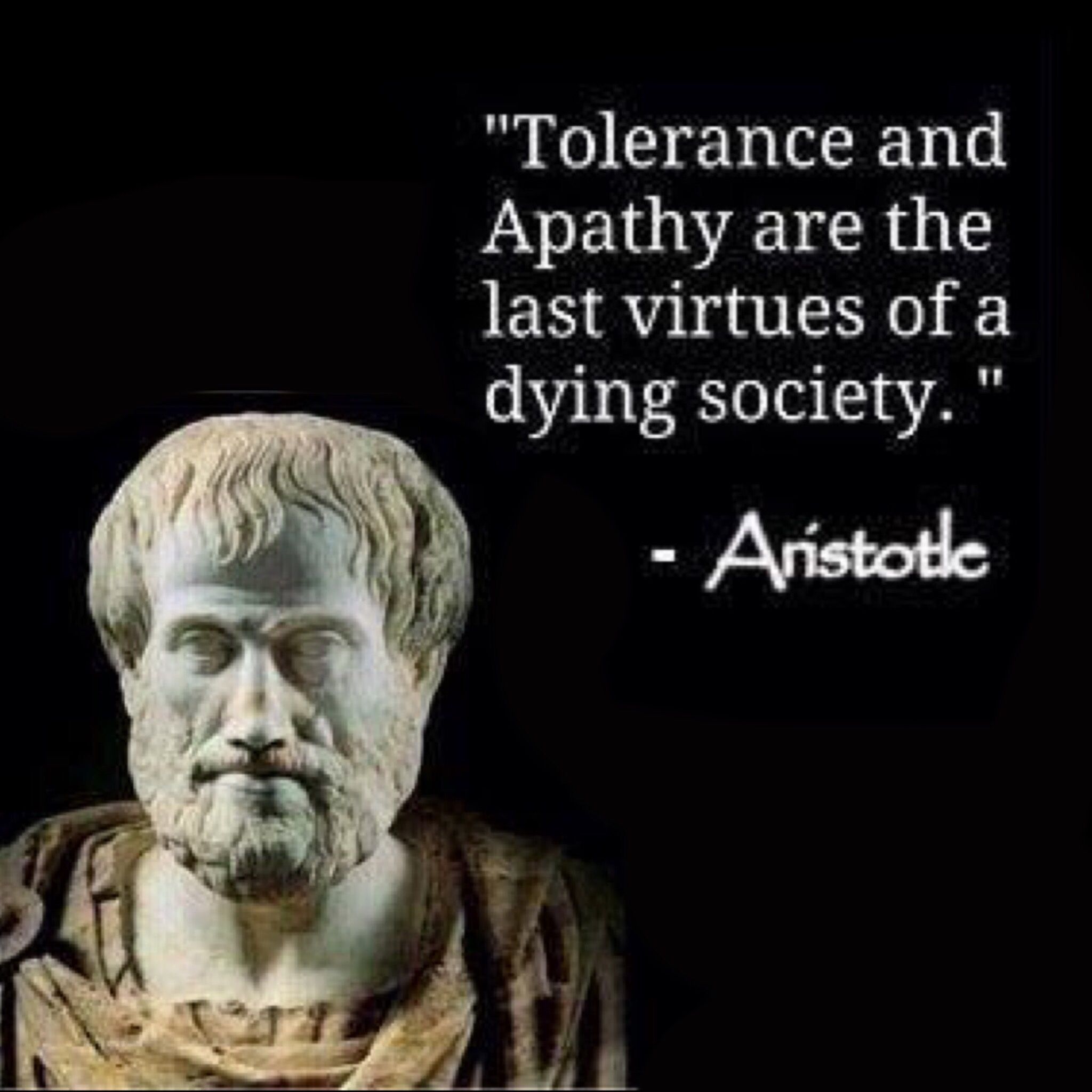 042c7fd7762b9d468d14120389f41701.jpg