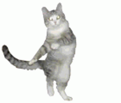 c20658ba3bf2d1323001f990416f777f.gif