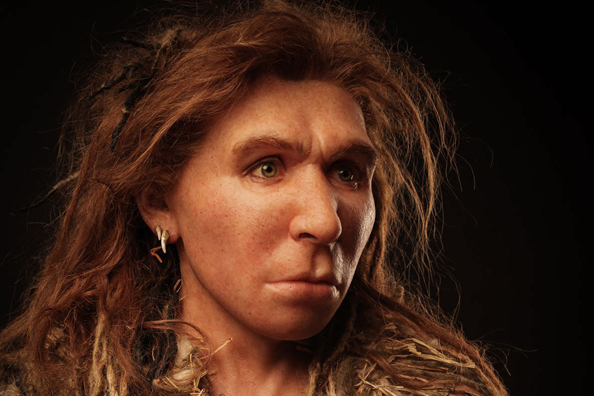 3118045_neanderthal_woman-4x3.jpg