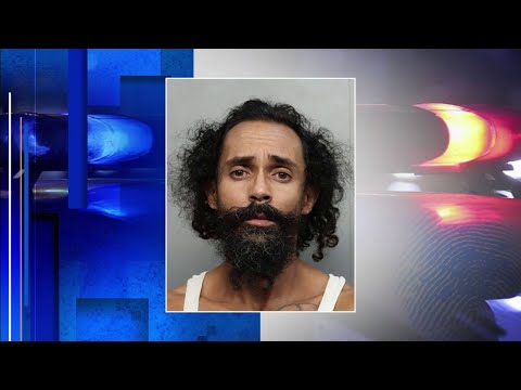 www.local10.com