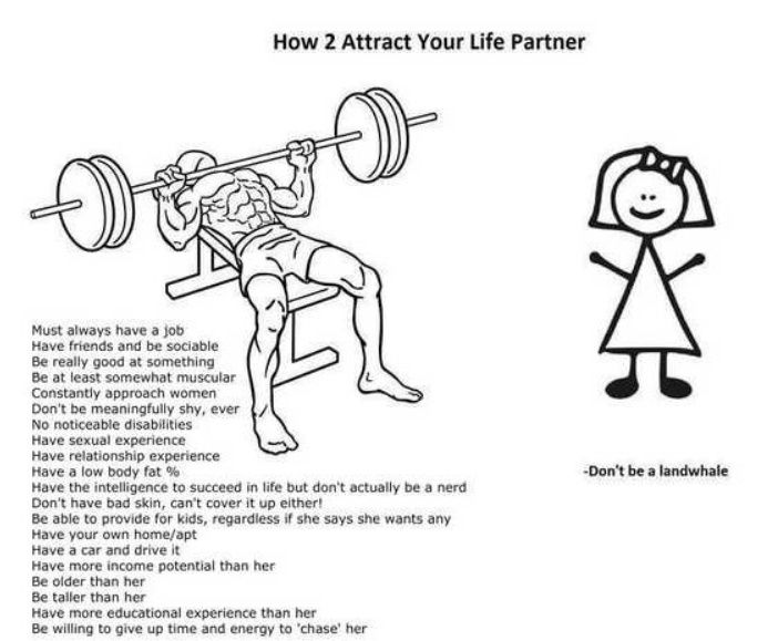 84e6b78cbb6c0a57580695e637b1b90b.jpg