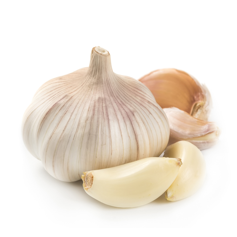 4954_garlic_CA_Early_800.jpg