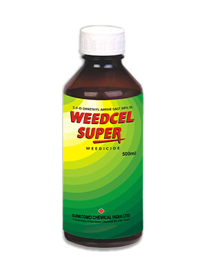 weedcel-super-pack.webp