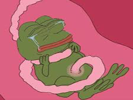 bebe spermatozoide cioran ne 4chan suicide depressif nouveau frog pendaison other ovule grenouille pepe depression kek naissance foetus