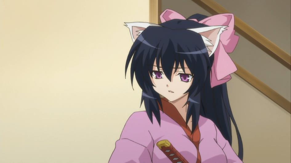 Discover Anime's Best Catgirls